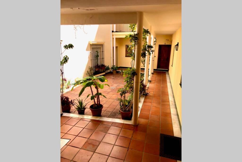 Gatu Villa Palma, Aire Acc Y Confort En El Centro Historico, " Preferente Mayores De 25 Anos Y Familias " Ель-Пуерто-де-Санта-Марія Екстер'єр фото